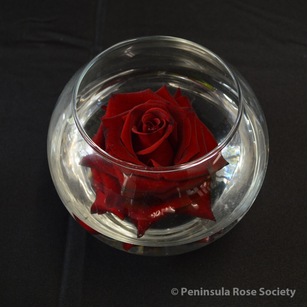 201_lenora_boeddiker_black_magic_wm