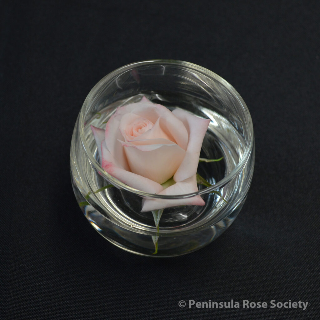 202_john_lynett_petrula_minnie_pearl_wm